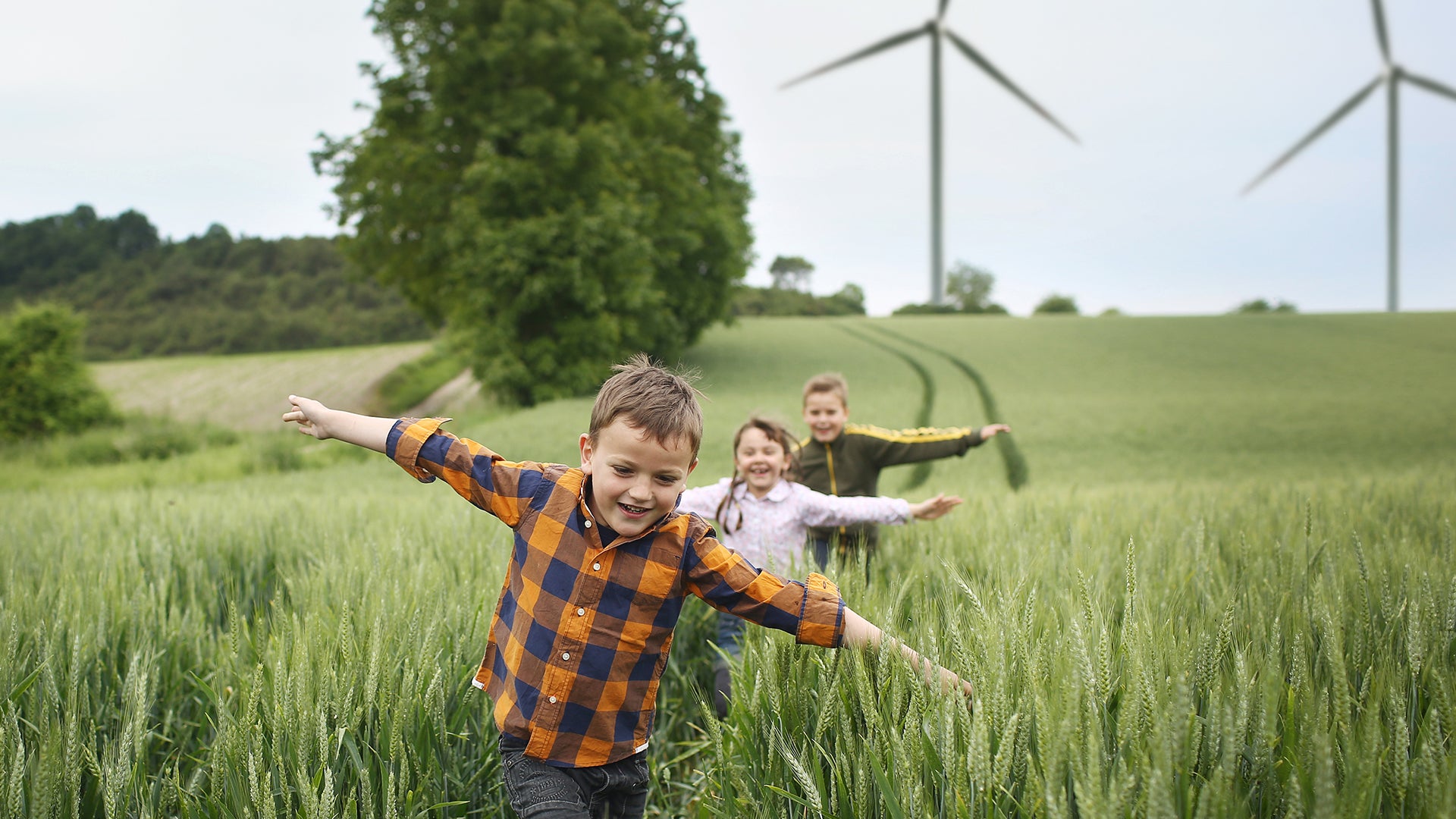 Produktgruppe Alt-Text